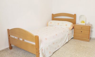 Habitación 385 – Gallos