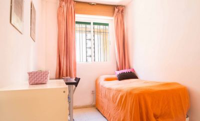 Habitación 242 – Calería